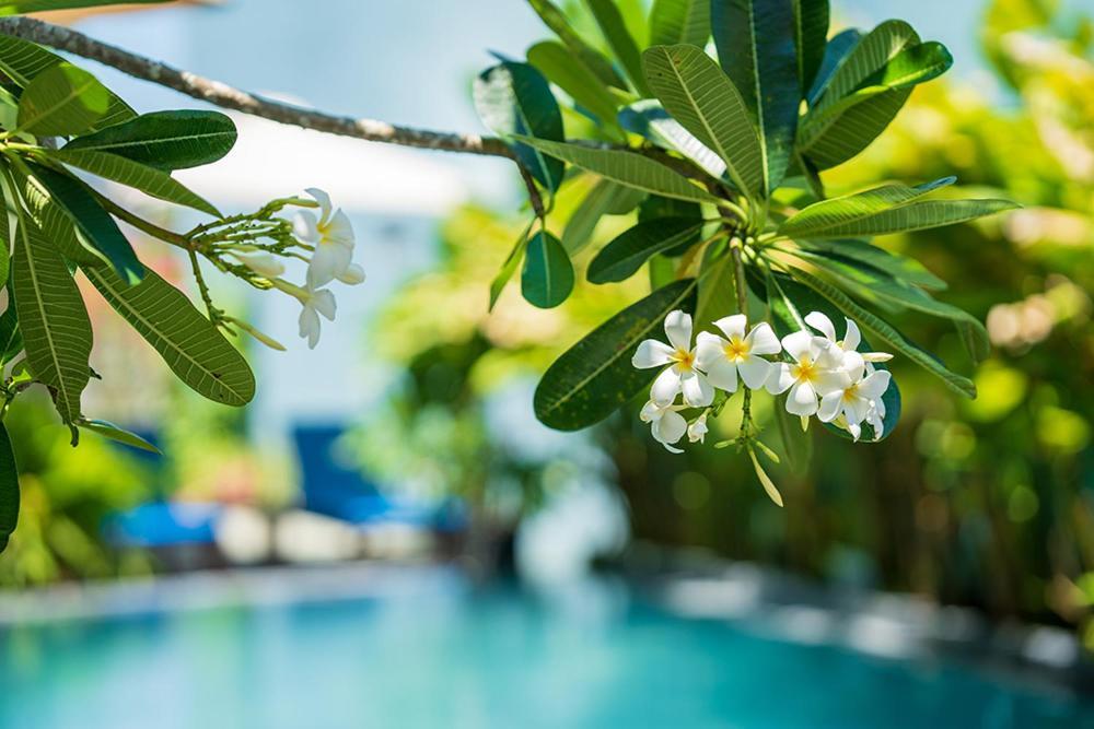 Coco Island Villa Hoi An Luaran gambar